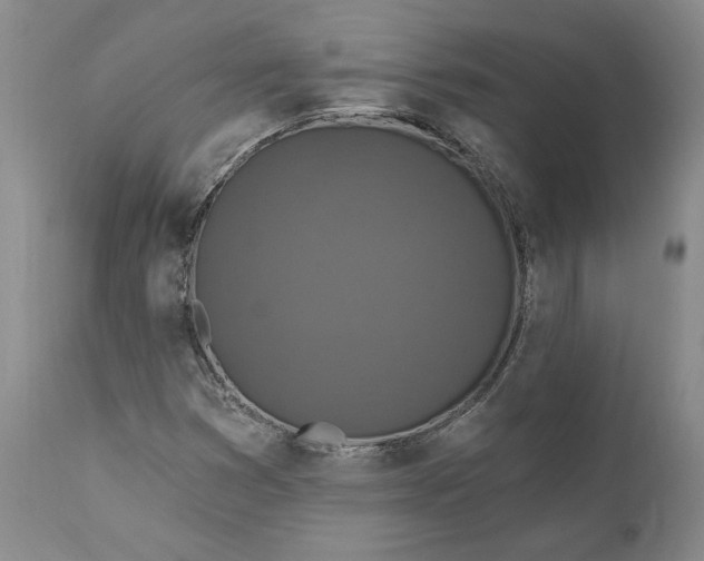 X0000110921353200907021449