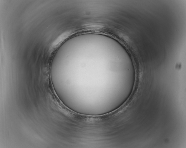 X0000110921354200907021449