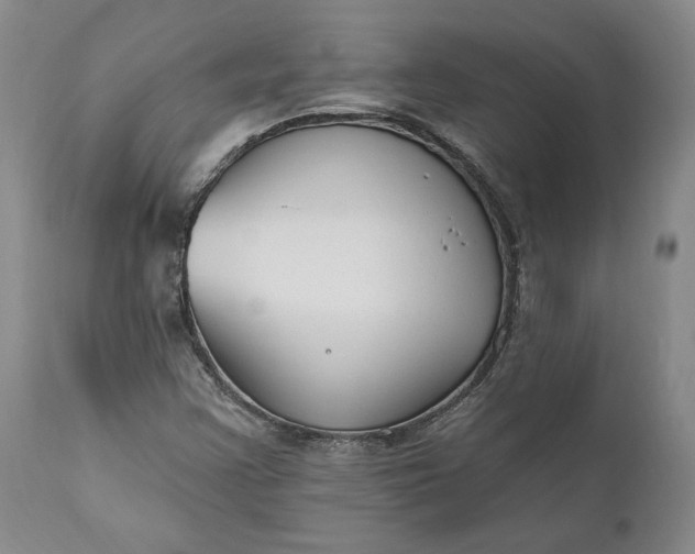 X0000110921355200907021449