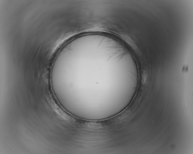 X0000110921356200907021449