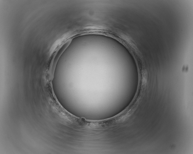 X0000110921357200907021449