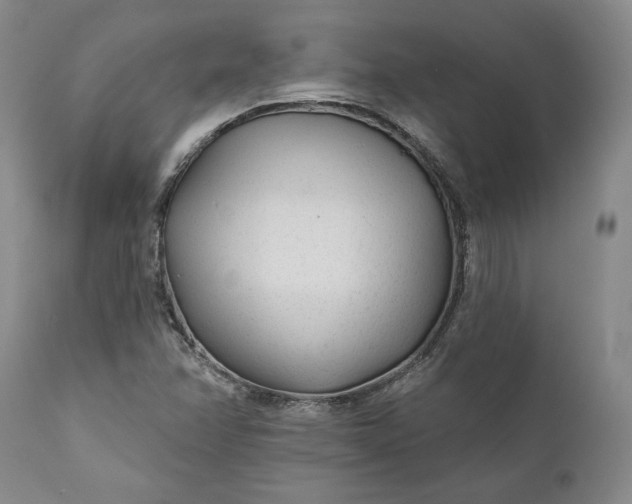 X0000110921358200907021449