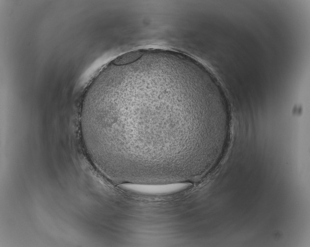 X0000110921359200907021449