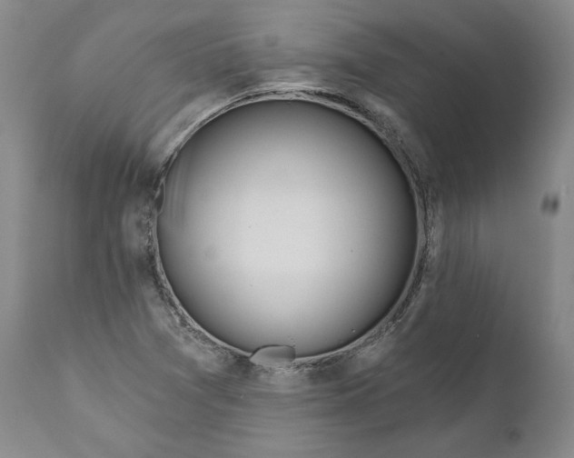 X0000110921361200907021449