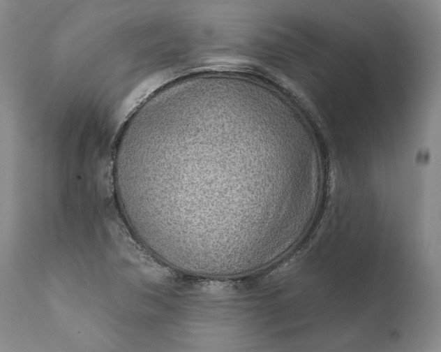X0000110921362200907021449