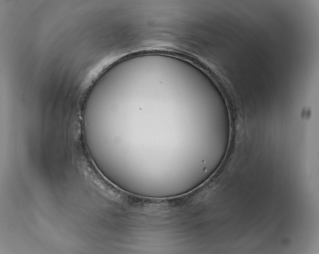 X0000110921363200907021449