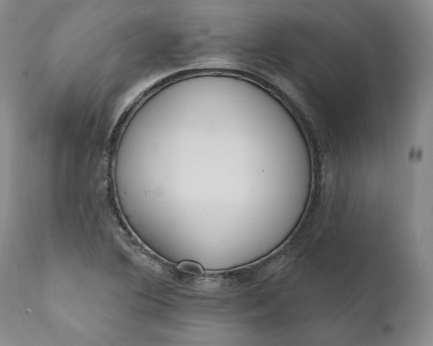 X0000110921364200907021449