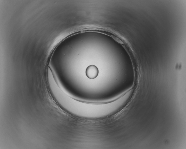X0000110921365200907021449