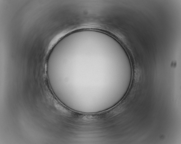 X0000110921366200907021449