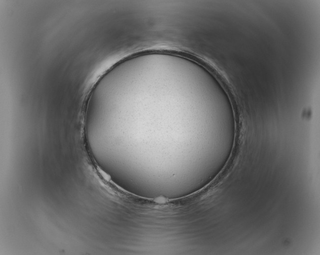 X0000110921367200907021449