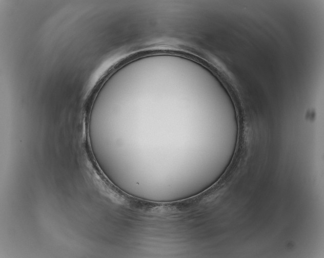 X0000110921368200907021449
