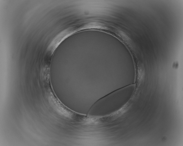 X0000110921369200907021449