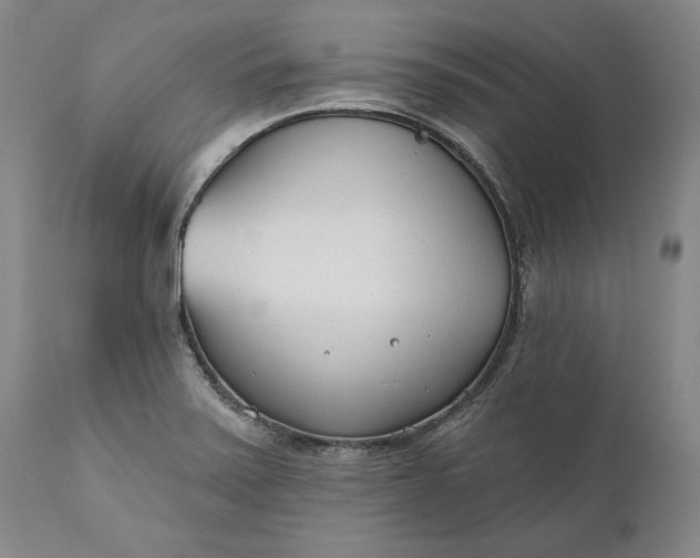 X0000110921371200907021449