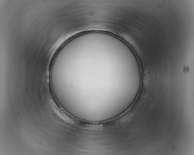 X0000110921372200907021449