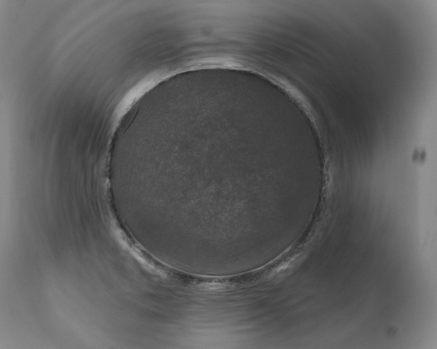 X0000110921373200907021449