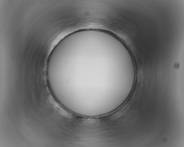 X0000110921374200907021449