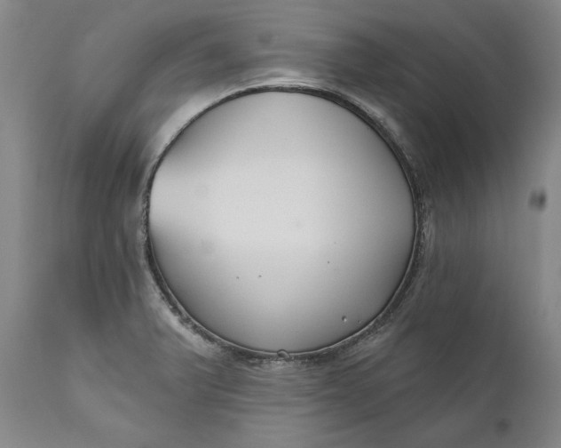 X0000110921375200907021449