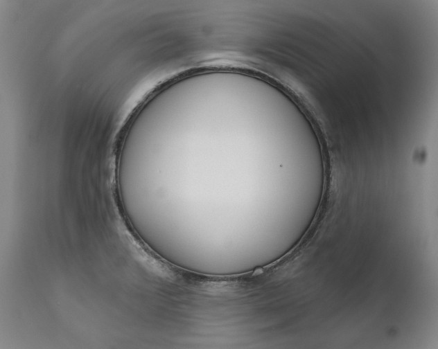 X0000110921376200907021449