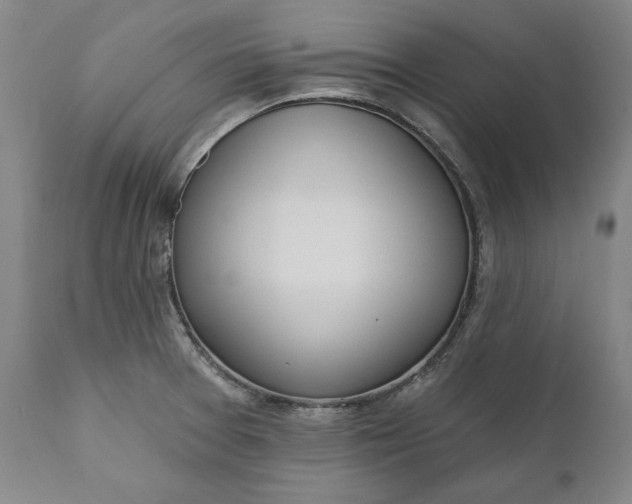 X0000110921377200907021449