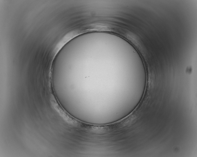 X0000110921378200907021449