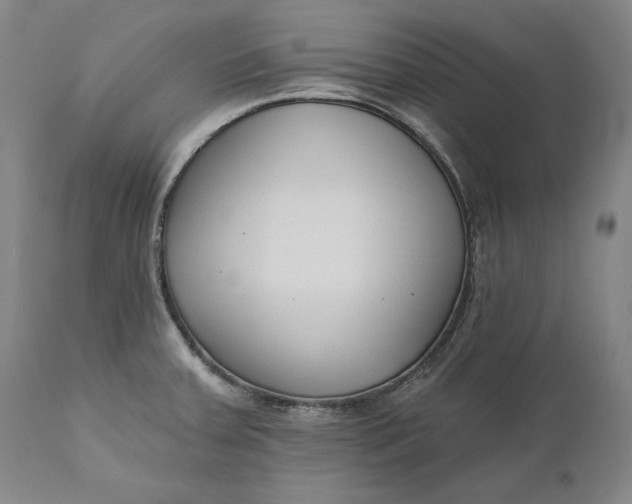 X0000110921379200907021449