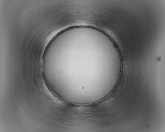 X0000110921380200907021449