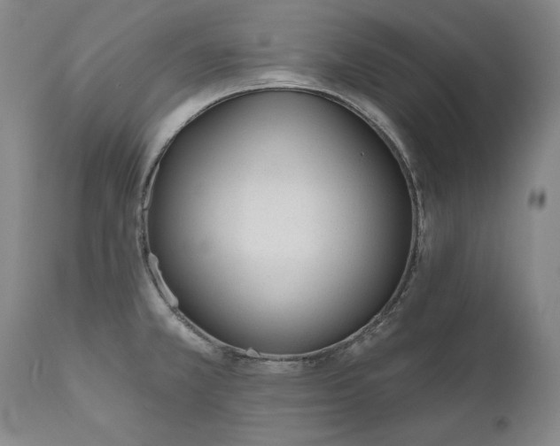 X0000110921381200907021449