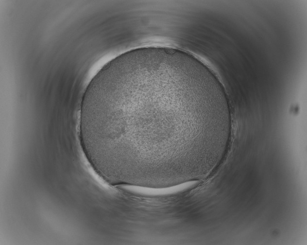 X0000110921383200907021449