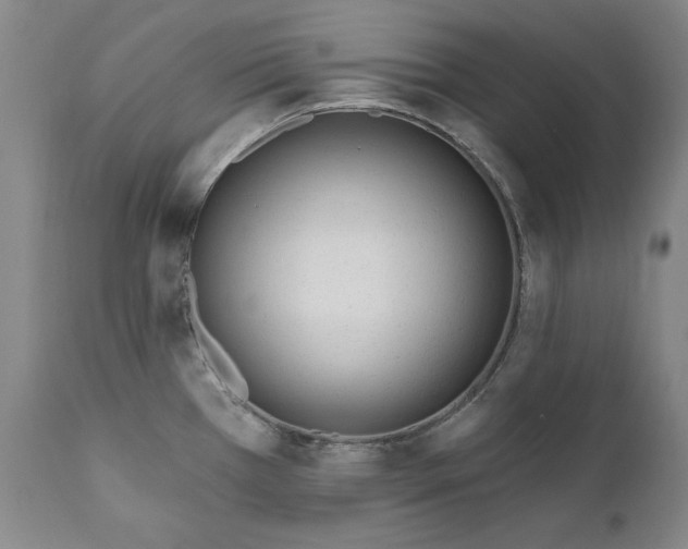 X0000110921385200907021449