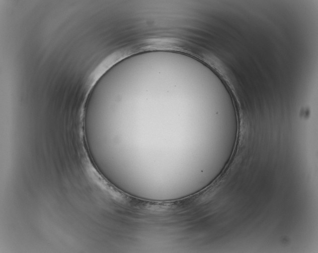 X0000110921386200907021449