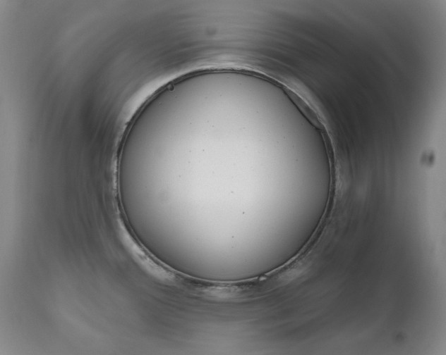 X0000110921388200907021449