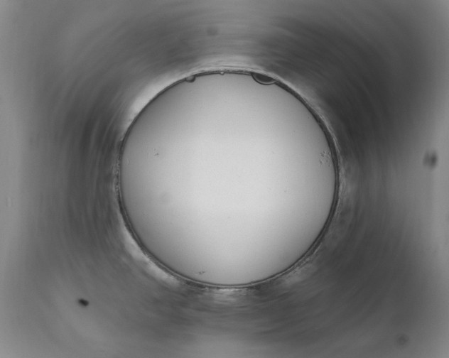 X0000110921390200907021449