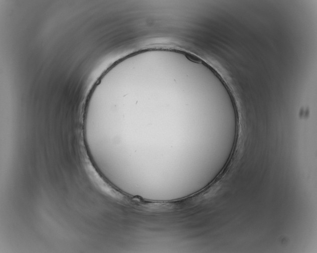 X0000110921392200907021449