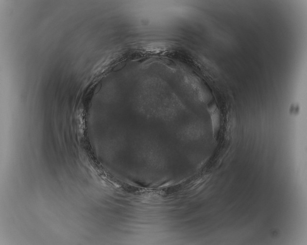X0000110921394200907021448