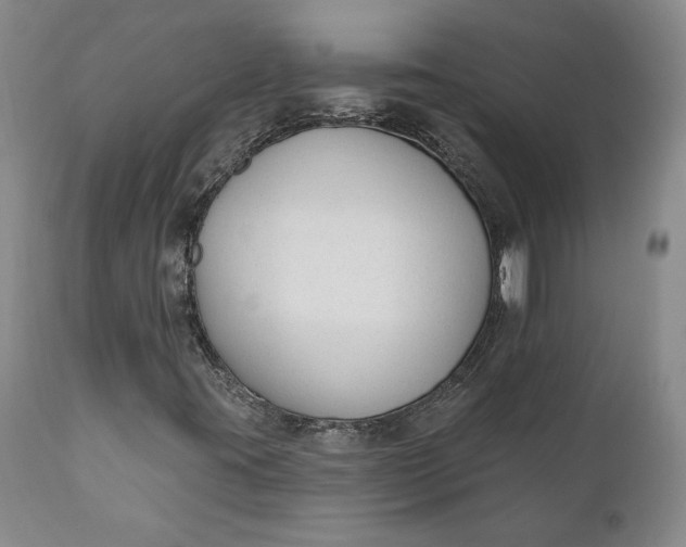 X0000110921395200907021448