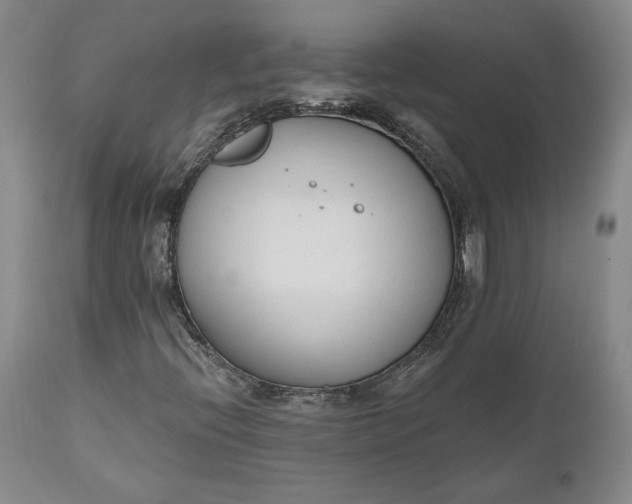 X0000110921396200907021448