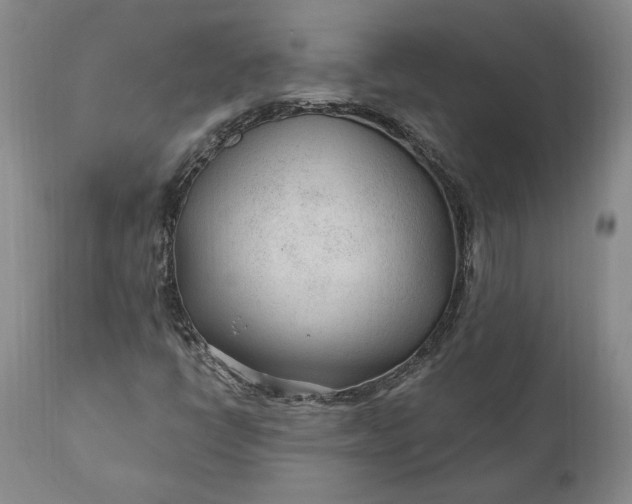 X0000110921398200907021448