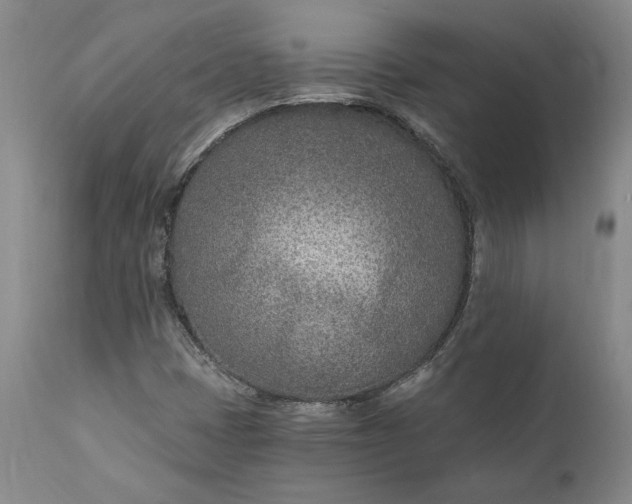 X0000110921401200907021448