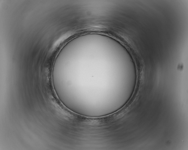X0000110921402200907021448
