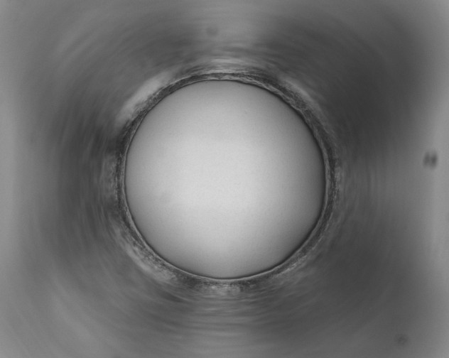 X0000110921403200907021448