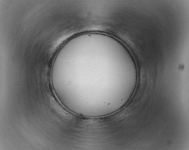 X0000110921404200907021448