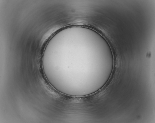 X0000110921410200907021448