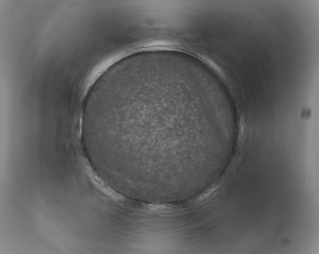 X0000110921413200907021448