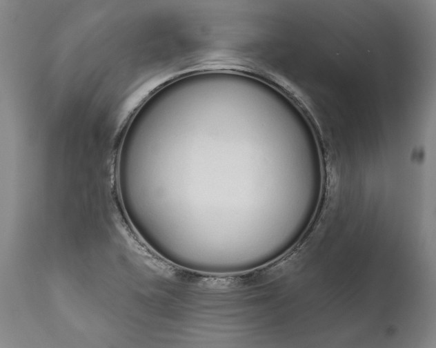 X0000110921415200907021448