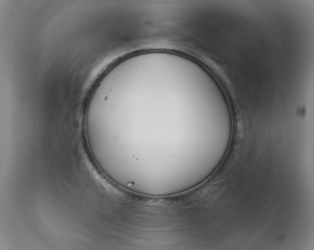 X0000110921416200907021448