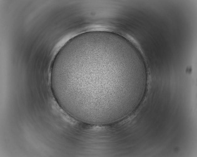 X0000110921419200907021449