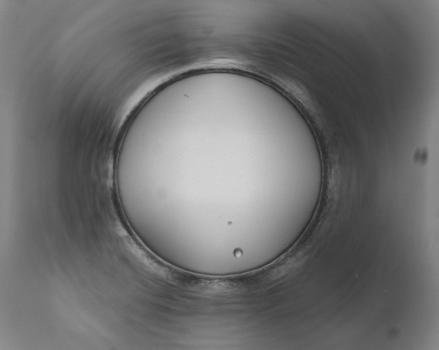 X0000110921420200907021449
