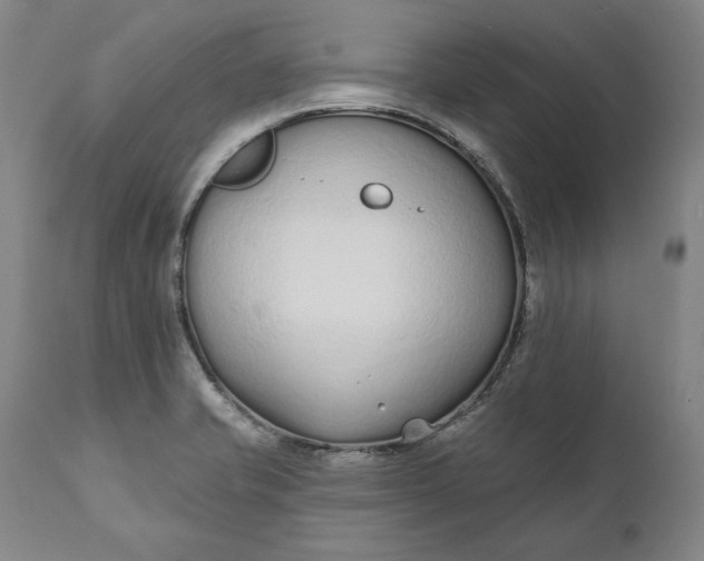 X0000110921421200907021449
