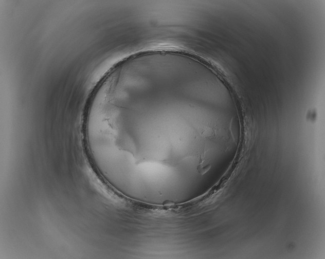 X0000110921422200907021449