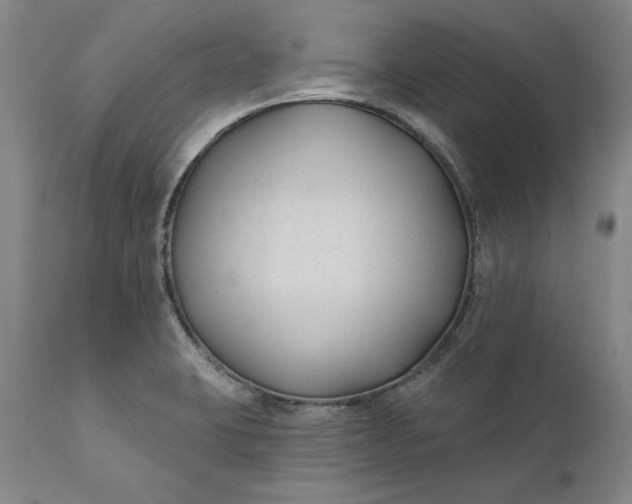 X0000110921423200907021449